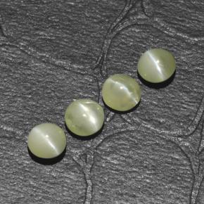 1.54 ctw Green Chrysoberyl Cat's Eye Gemstones, Chrysoberyl Cat's Eye Gems in Round Cabochon Shape for Sale.