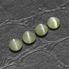 1.66 ctw Green Chrysoberyl Cat's Eye Stones, Natural Chrysoberyl Cat's Eye in Round Cabochon Shape for Sale
