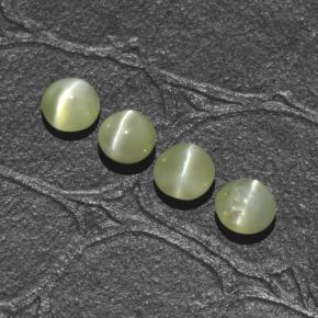 Chrysoberyl Cat's Eye Gemstones in 4 mm (calibrated) Size for Sale, Chrysoberyl Cat's Eye Stones in Golden Green Color