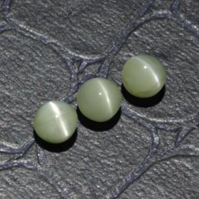 1.61 ctw Green Chrysoberyl Cat's Eye Stones, Natural Chrysoberyl Cat's Eye in Round Cabochon Shape for Sale