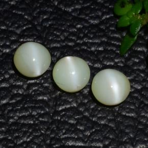 1.31 ctw Green Chrysoberyl Cat's Eye Gemstones, Chrysoberyl Cat's Eye Gems in Round Cabochon Shape for Sale.