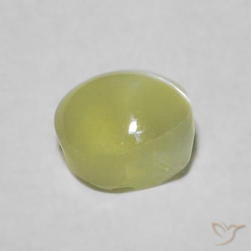 Chrysoberyl Cat's Eye Gemstone in 4.3 x 4.2 mm Size for Sale, Chrysoberyl Cat's Eye Stone in Yellowish Green Color