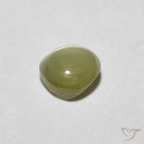 Chrysoberyl Cat's Eye Gemstone in 4.3 x 4.1 mm Size for Sale, Chrysoberyl Cat's Eye Stone in Warm Forest Green Color