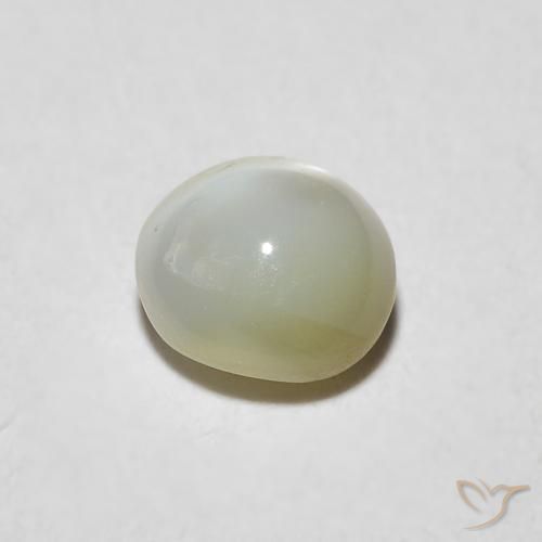 Chrysoberyl Cat's Eye Gemstone in 5 x 5 mm (calibrated) Size for Sale, Chrysoberyl Cat's Eye Stone in Grayish Yellow-Green Color