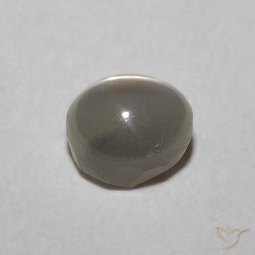 Chrysoberyl Cat's Eye Gemstone in 4.4 x 3.9 mm Size for Sale, Chrysoberyl Cat's Eye Stone in Very Light Grey Color
