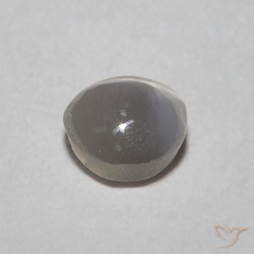 Chrysoberyl Cat's Eye Gemstone in 3.9 x 3.8 mm Size for Sale, Chrysoberyl Cat's Eye Stone in Warm Grey Color