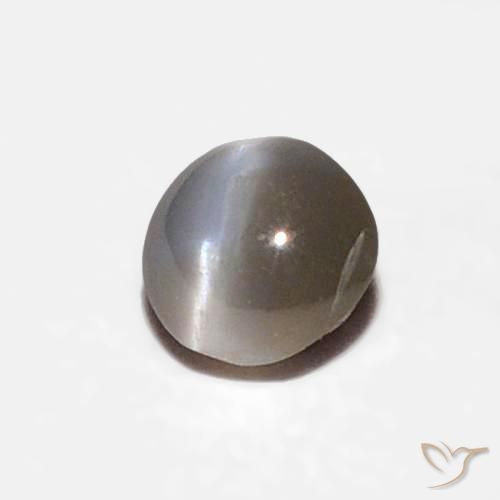 0.16 ct Gray Chrysoberyl Cat's Eye Stone, Natural Chrysoberyl Cat's Eye in Oval Cabochon Shape for Sale