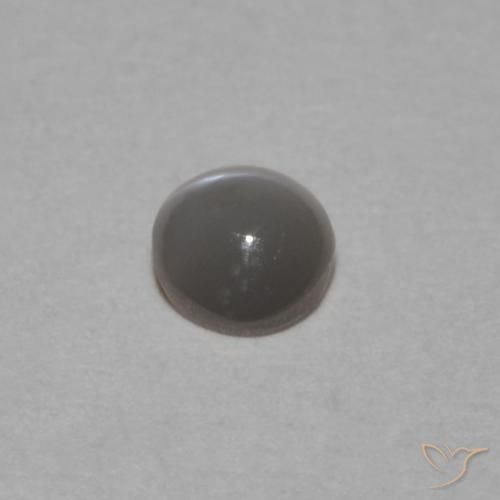 Chrysoberyl Cat's Eye Gemstone in 3.5 x 3.3 mm Size for Sale, Chrysoberyl Cat's Eye Stone in Grayish Black Color