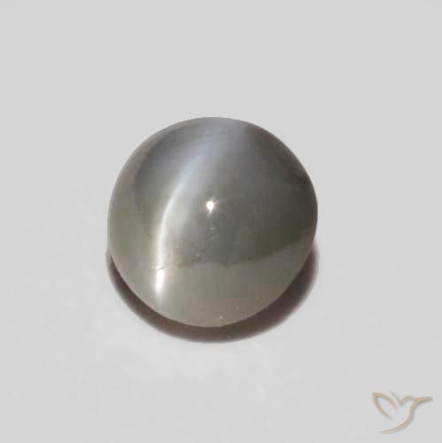 0.24 ct Gray Chrysoberyl Cat's Eye Stone, Natural Chrysoberyl Cat's Eye in Oval Cabochon Shape for Sale