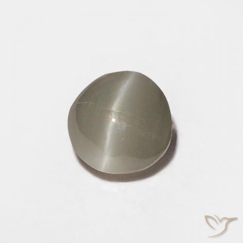 0.20 ct Gray Chrysoberyl Cat's Eye Stone, Natural Chrysoberyl Cat's Eye in Round Cabochon Shape for Sale