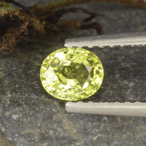 Medium Yellow Crisoberillo Gem - 0.6ct Ovale sfaccettato (ID: 496244)