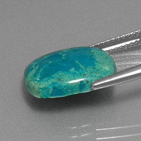 Chrysocolla Gemstone in 14.3 x 12 mm Size for Sale, Chrysocolla Stone in Multicolor Color