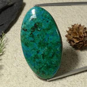 Vert foncé Chrysocolle gemme - 42ct Ovale Cabochon (ID: 486383)