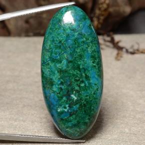 Multicolore Chrysocolle gemme - 51.5ct Ovale Cabochon (ID: 486556)