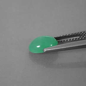 Chrysoprase Gemstone in 8.3 x 6.2 mm Size for Sale, Chrysoprase Stone in Green Color