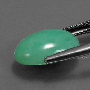 Chrysoprase Gemstone in 12.7 x 8.8 mm Size for Sale, Chrysoprase Stone in Green Color