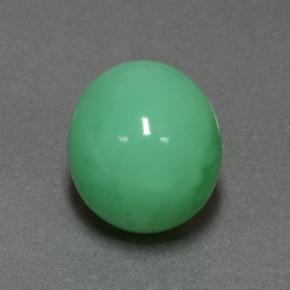 14.3ct Oval Cabochon Green Chrysoprase Gem for sale 14.3ct Oval Cabochon Green Chrysoprase Gem (ID: 505414)