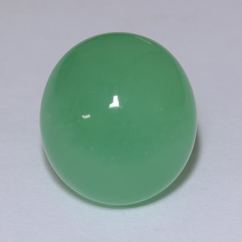 Shamrock Green Chrysoprase Gem - 11.2ct Oval Cabochon (ID: 510761)