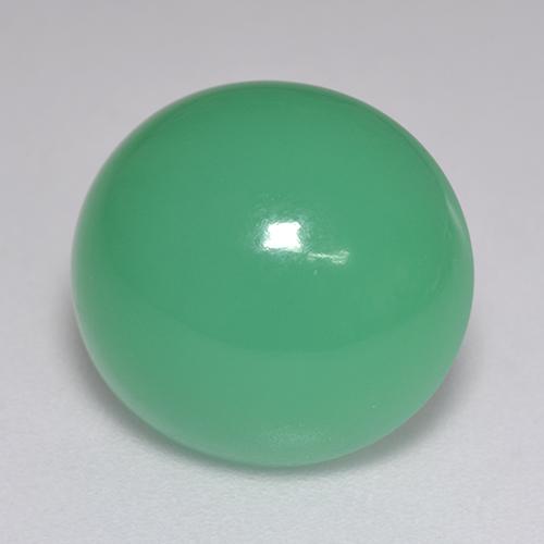 Fern Green Chrysoprase Gem - 7.6ct Oval Cabochon (ID: 517017)
