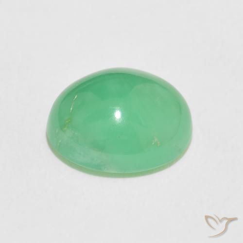 Chrysoprase Gemstone in 10.5 x 8.9 mm Size for Sale, Chrysoprase Stone in Light Shamrock Green Color
