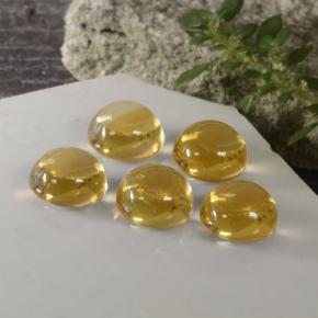 11.46 ct Gold Citrine Stone, Natural Citrine in Round Cabochon Shape for Sale