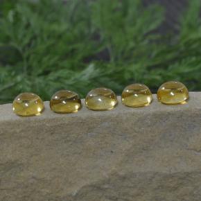 11.14 ctw Yellow Citrine Gemstones, Citrine Gems in Round Cabochon Shape for Sale.
