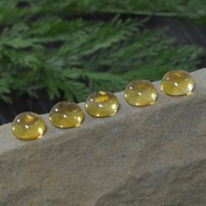 11.14 ctw Yellow Citrine Stones, Natural Citrine in Round Cabochon Shape for Sale
