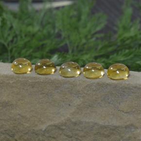 Citrine Gemstones in 8 mm (calibrated) Size for Sale, Citrine Stones in Yellow Golden Color