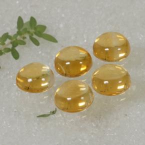 10.14 ctw Yellow Citrine Gemstones, Citrine Gems in Round Cabochon Shape for Sale.