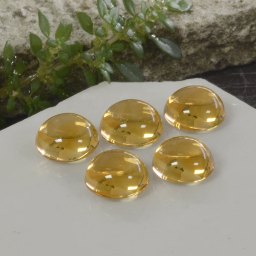 Doré léger Citrine gemme - 2.1ct Cabochon rond (ID: 267645)
