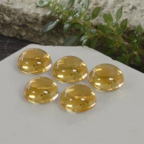 10.33 ctw Golden Citrine Stones, Natural Citrine in Round Cabochon Shape for Sale