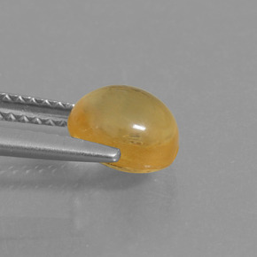 Citrine Gemstone in 7.3 x 6.7 mm Size for Sale, Citrine Stone in Yellow Golden Color