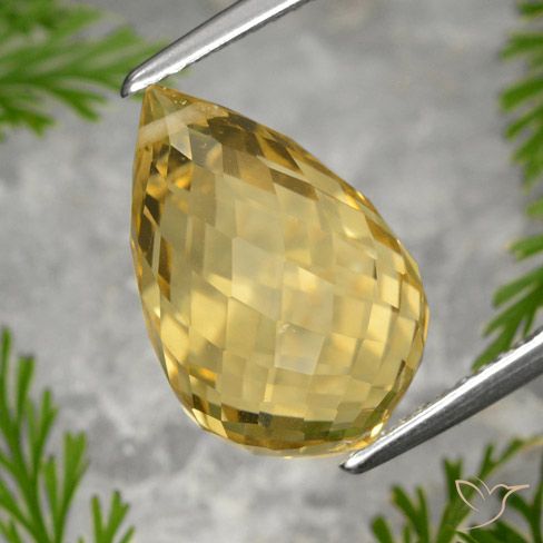 Golden Citrin Edelstein - 8.4ct Briolette mit Loch (ID: 366798)