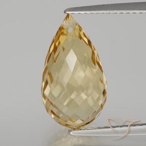6.56ct Natural Gold Citrine, Briolette, VVS