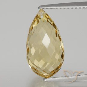 6.65ct Natural Golden Citrine, Briolette, VVS