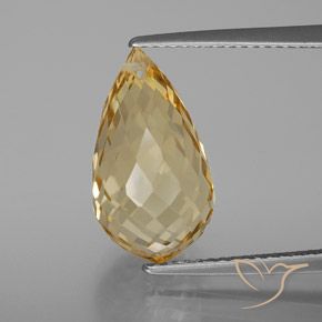 7.22ct Natural Golden Citrine, Briolette, VVS