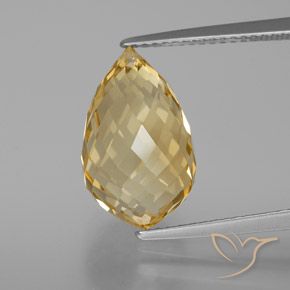 7.56ct Natural Light Brownish Golden Citrine, Briolette, VVS