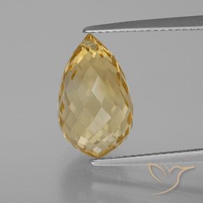 Medium-Light Gold Citrin Edelstein - 6.6ct Briolette mit Loch (ID: 367204)