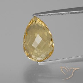 6.14ct Natural Gold Citrine, Briolette, VVS-VS