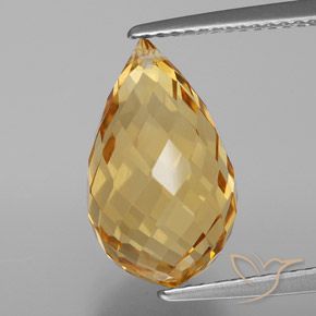 6.21ct Natural Golden Citrine, Briolette, VVS
