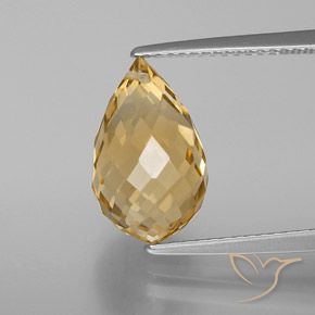 5.05ct Natural Golden Citrine, Briolette, VVS-VS