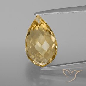 6.04ct Natural Medium-Light Gold Citrine, Briolette, VVS