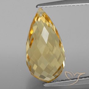 5.81ct Natural Golden Citrine, Briolette, VVS