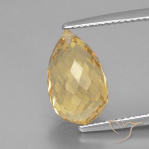 5.49ct Natural Bright Gold Citrine, Briolette, VVS