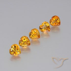 Lote de 5 piezas de Brasil Dorado Corazón de Brasil - Tamaño 7,1 x 7mm, peso 6 ct en total / promedio. 1,2 ct cada uno, Color: Oro, Dureza de Mohs 7 Adecuado para joyas de uso diario, Piedra natal de noviembre, Photo A