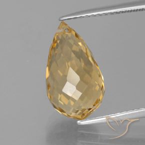 5.95ct Natural Medium Gold Citrine, Briolette, VVS