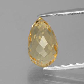 Medium Gold Citrine Gem - 4.6ct Briolette with Hole (ID: 385446)