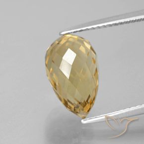 4.83ct Natural Medium Gold Citrine, Briolette, VVS-VS