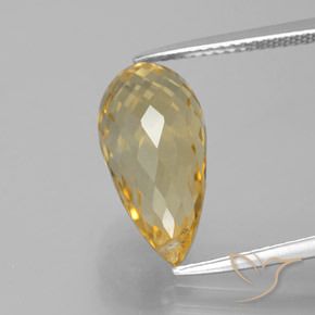 6.05ct Natural Gold Citrine, Briolette, VVS-VS