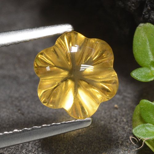 1.66ct Natural Medium Golden Citrine, Flower Cut, Transparent
